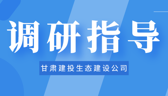 黨委書記、董事長張豐川深入酒泉市肅州區(qū)城市基礎(chǔ)設(shè)施提升項(xiàng)目調(diào)研指導(dǎo)工作